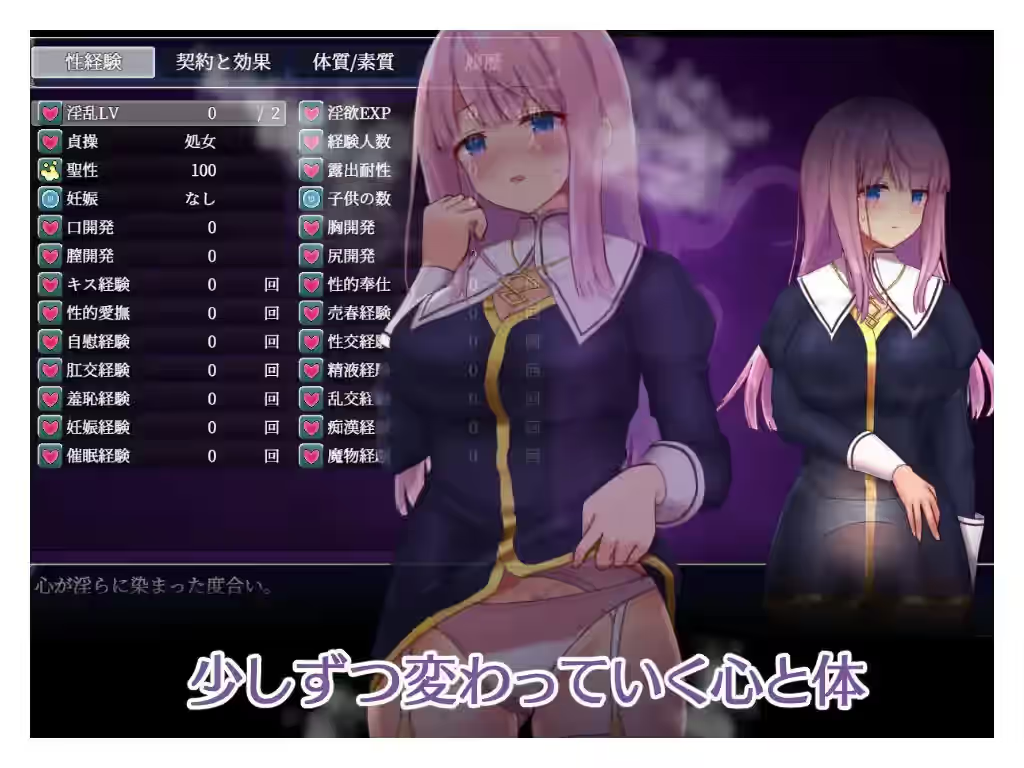 艾妮西娅与契约纹章 截图 2
