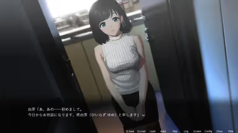 偷窥女孩私生活的偷拍洗脑SLG 截图 3