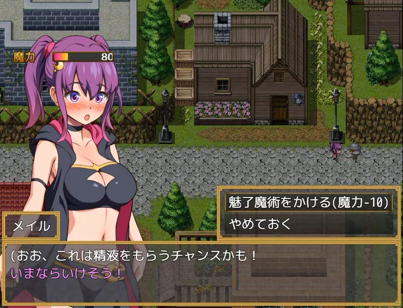 梅尔的魔女试验 截图 12