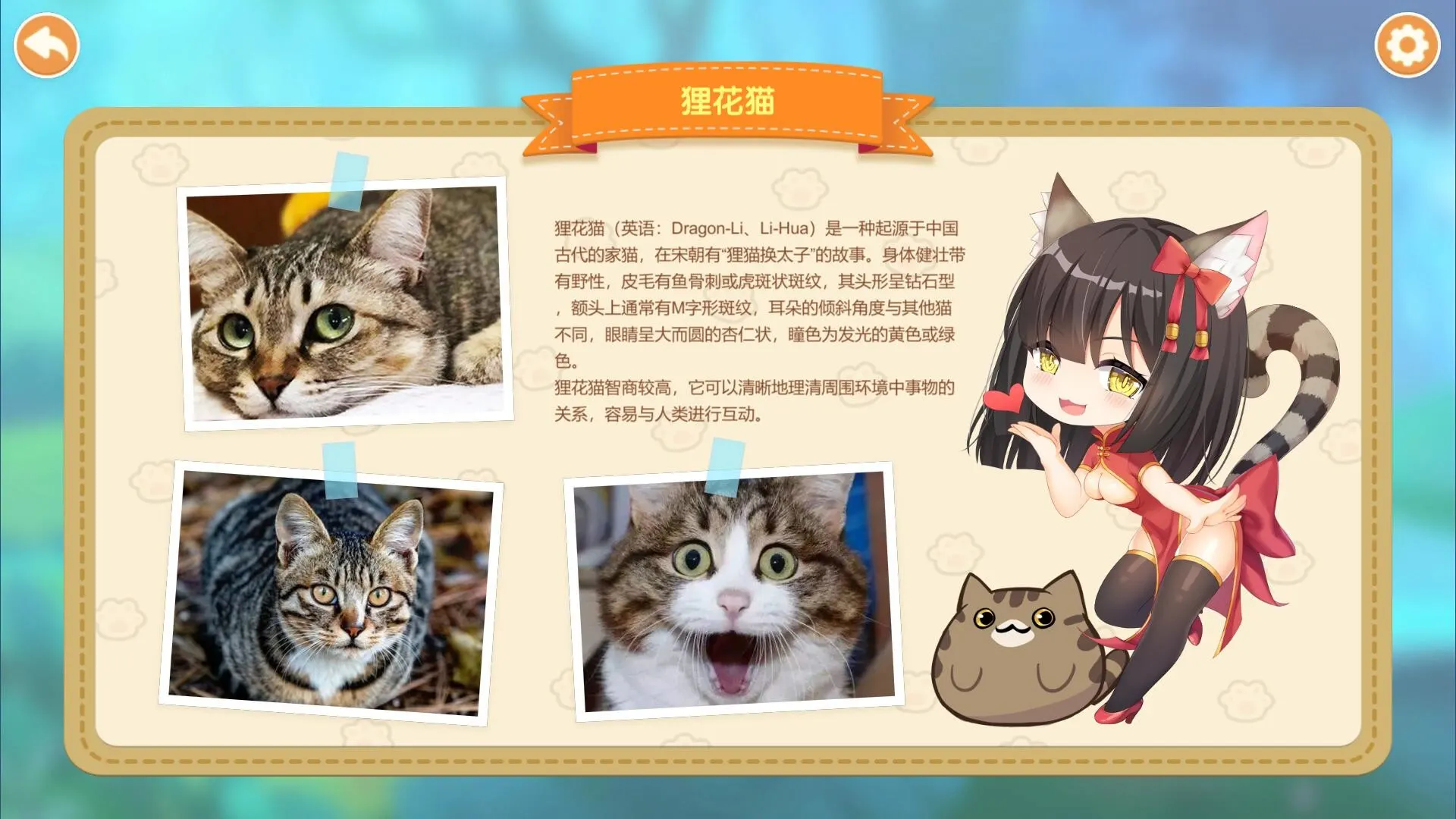Miss Neko 2 截图 5