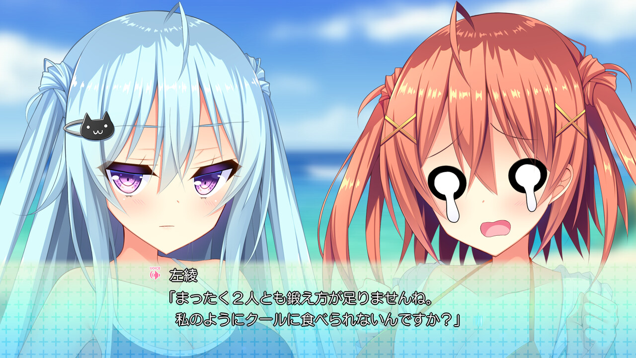 珍·鴨 Twins 2！～夏天！大海！双胞胎妹妹胸部对决！～ 截图 1