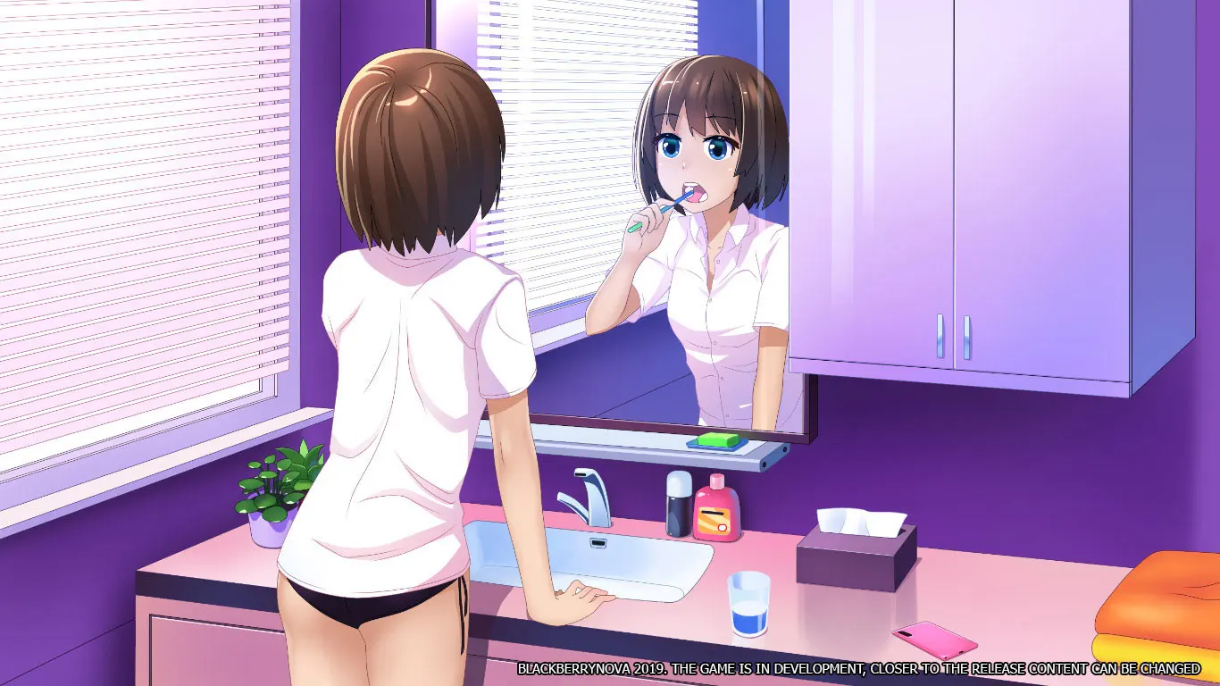 BlackberryNOVA 截图 2