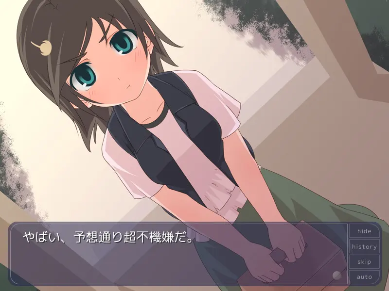 向日葵 截图 5
