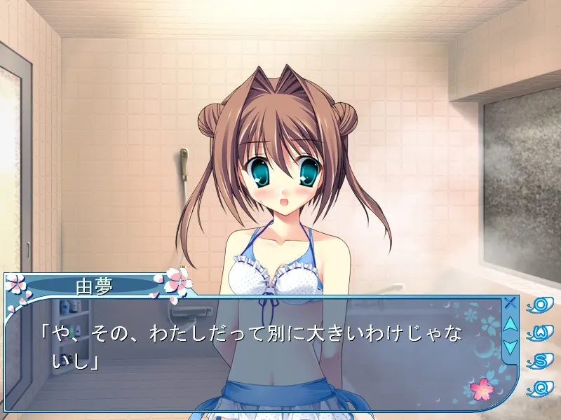 D.C.II ~featuring YUN2!~ 截图 1