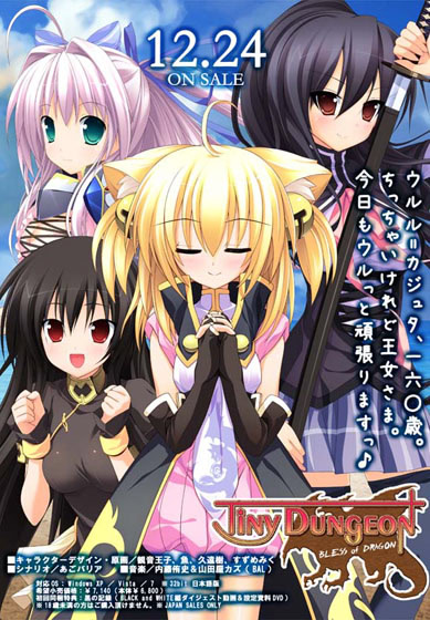 Tiny Dungeon~BLESS of DRAGON~