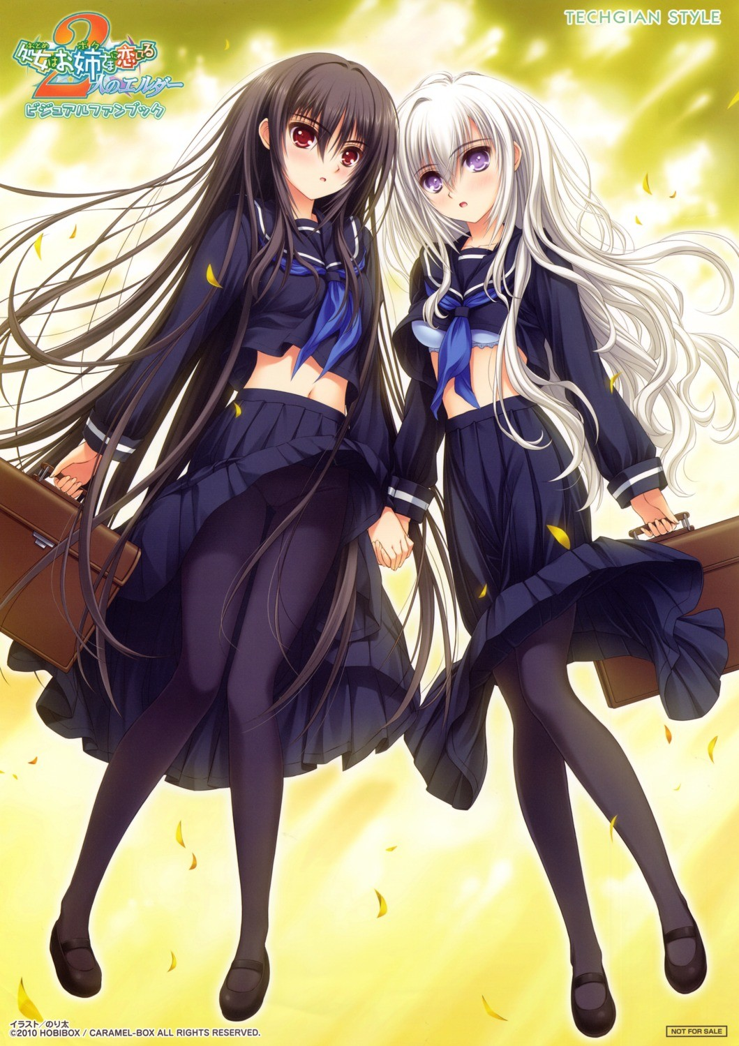 少女爱上姐姐：2位艾露达