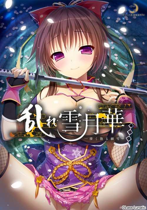 乱雪月华～虚幻飘散的细雪～