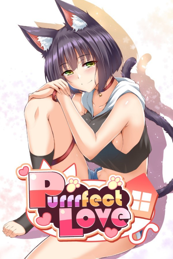 纯爱猫娘的同居生活