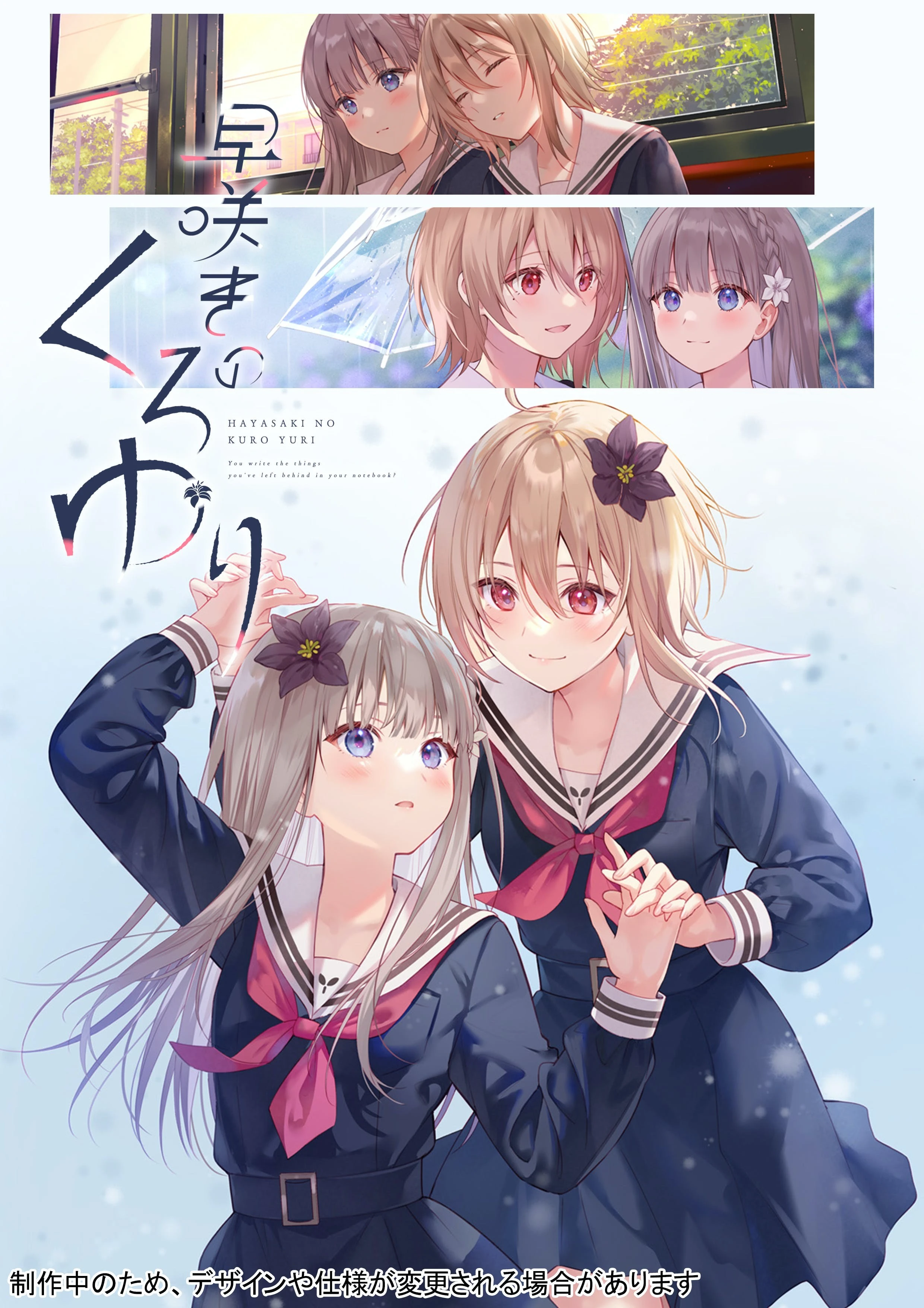 提早绽放的黑百合