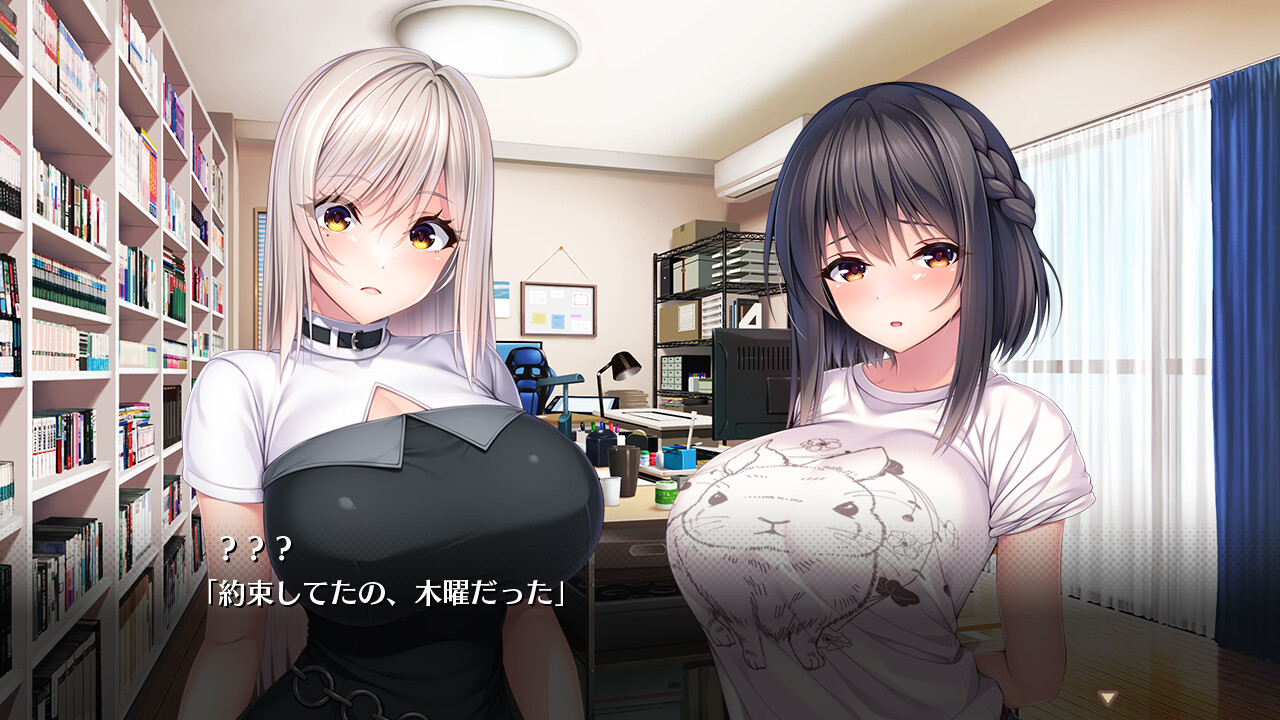 ROLEPLAYER：山掛姐妹的黏膜游戏！ 截图 3