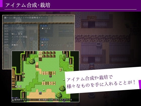 莉莎与欲望的魔导书 截图 2
