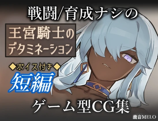 王宫骑士的决心