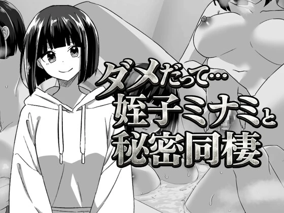 不行啦…和侄女美波的秘密同居